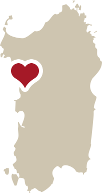 Villanova: turismo Attivo