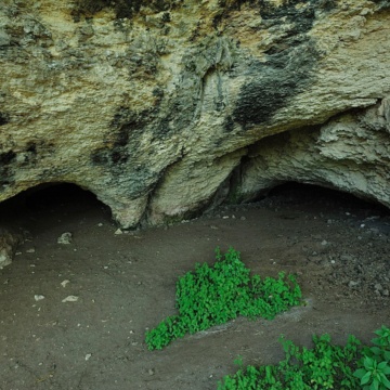 Mara, grotta Filiestru. Ingresso. (foto Ivo Piras)