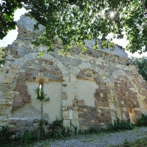 Villanova Monteleone, chiesa di Santa Maria di Curos. Unico tratto di paramento murario residuo. (foto Ivo Piras)